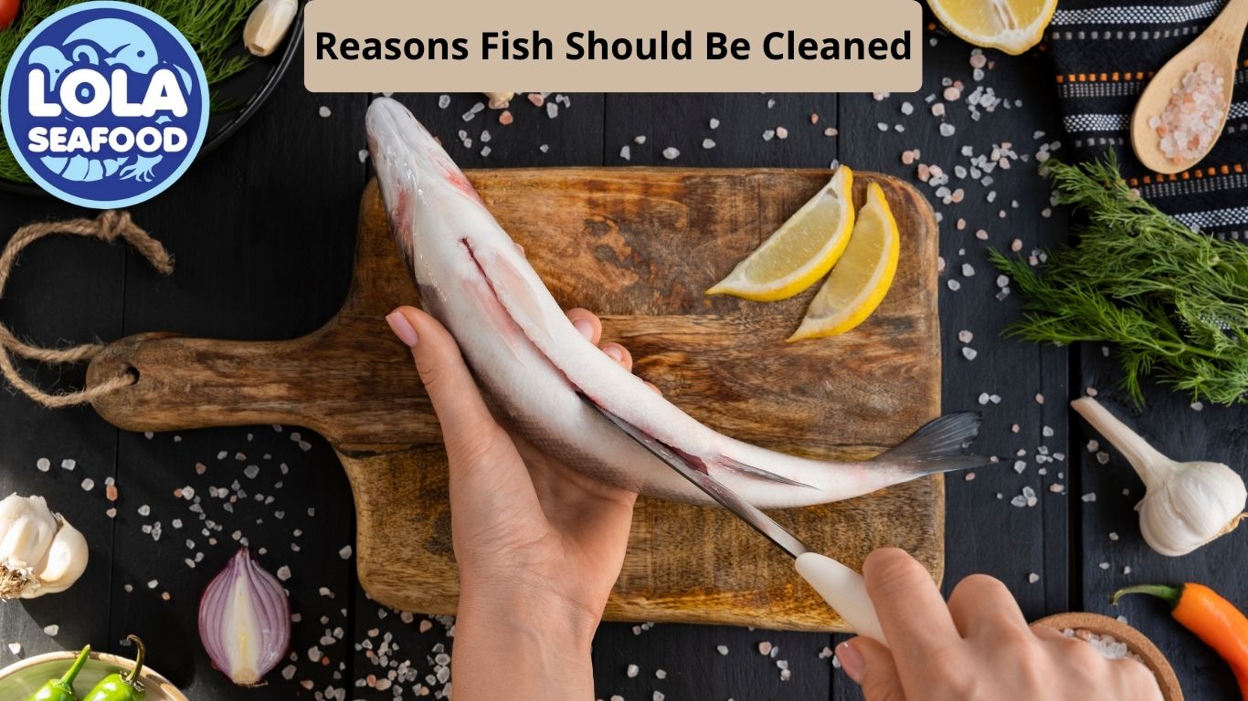 Reasons Fish Should Be Cleaned